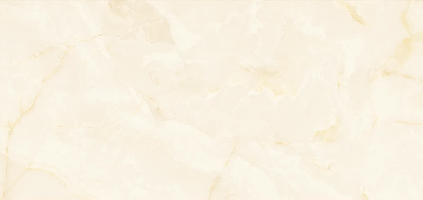 Doctor Section Background